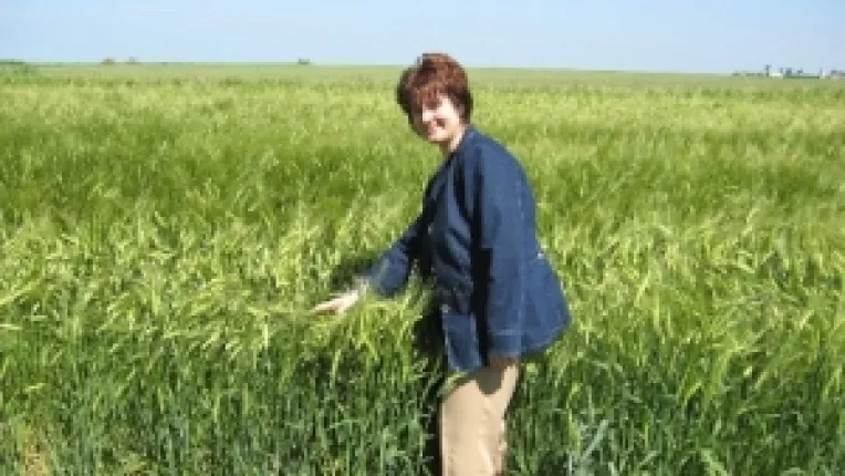 Acupunctura, o arta terapeutica strans ancorata in conceptiile filozofiei antice chineze