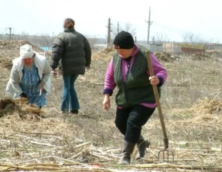 APIA da drumul banilor catre fermieri