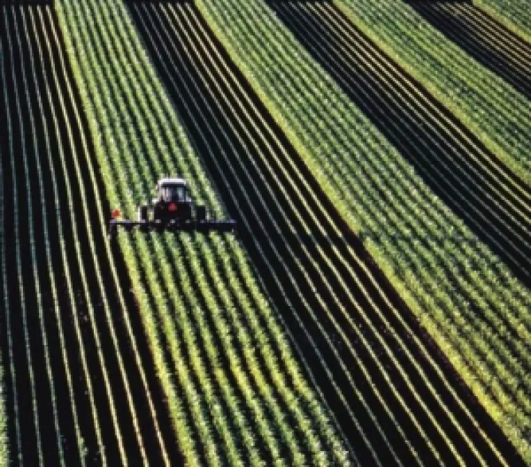 Basescu: "Recomand investitorilor din Cehia sa se orienteze spre Romania"