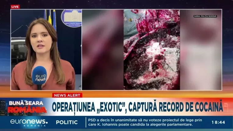 Captura record de cocaina descoperita in 16 tone de pulpa de fructe congelate