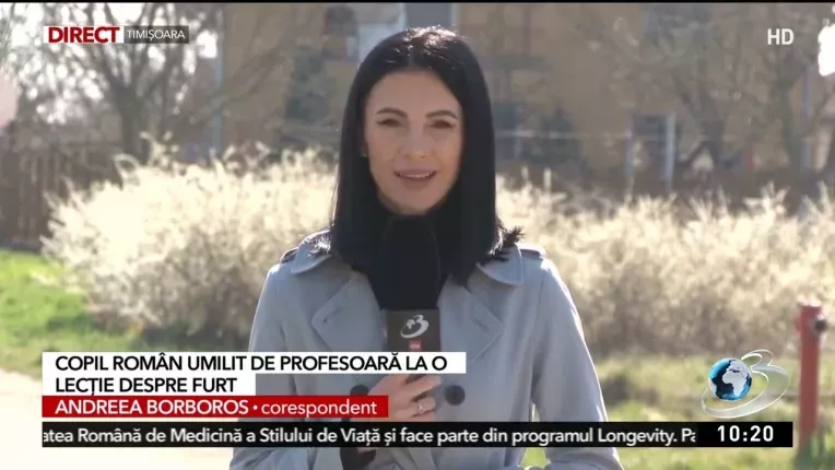 Copil roman din Germania umilit de o profesoara la o lectie despre furt