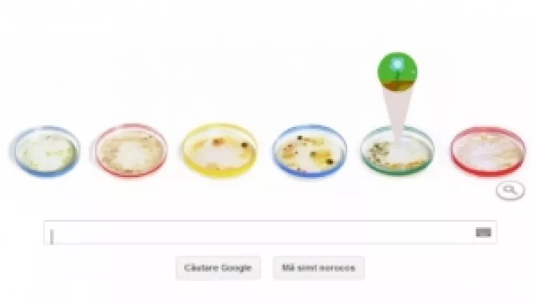 Google a sarbatorit, vineri, 161 de ani de la nasterea bacteriologului Julius Richard Petri 