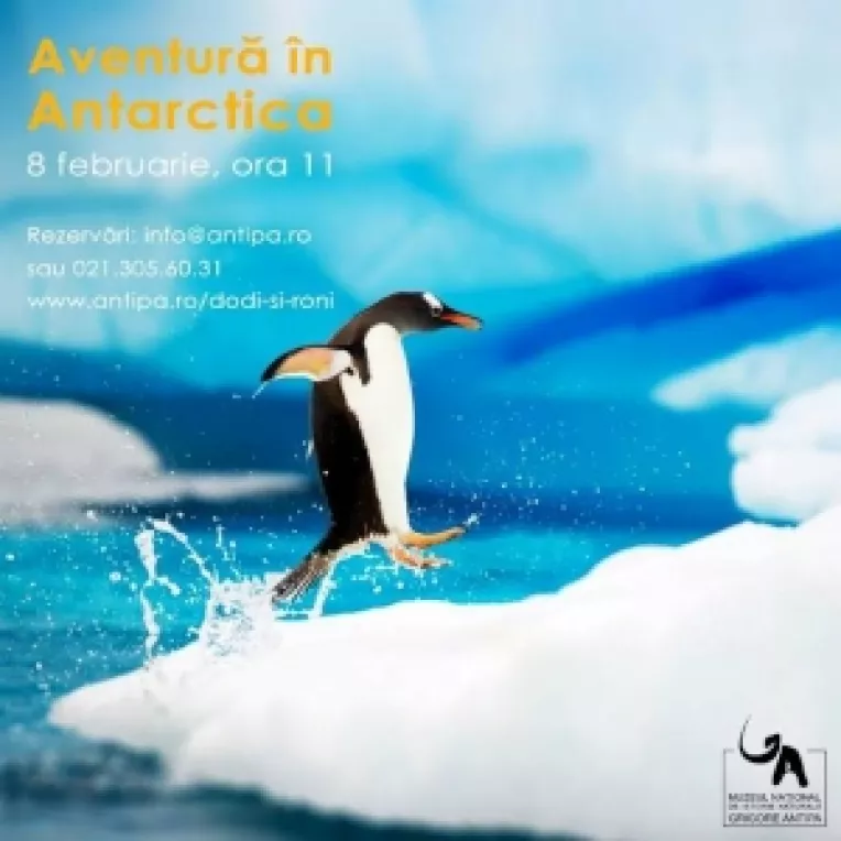 Intalnire cu Dodi si Roni: Aventura in Antarctica