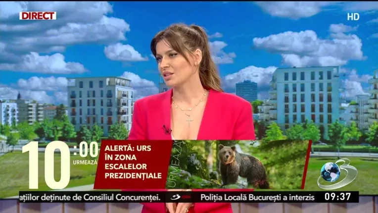 Piata imobiliara se prabuseste. Vanzarile au scazut drastic