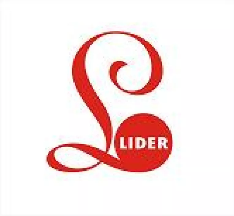 PROMOTIE DE IARNA la Editura LIDER: Carti la preturi de 5, 10 si 12 lei