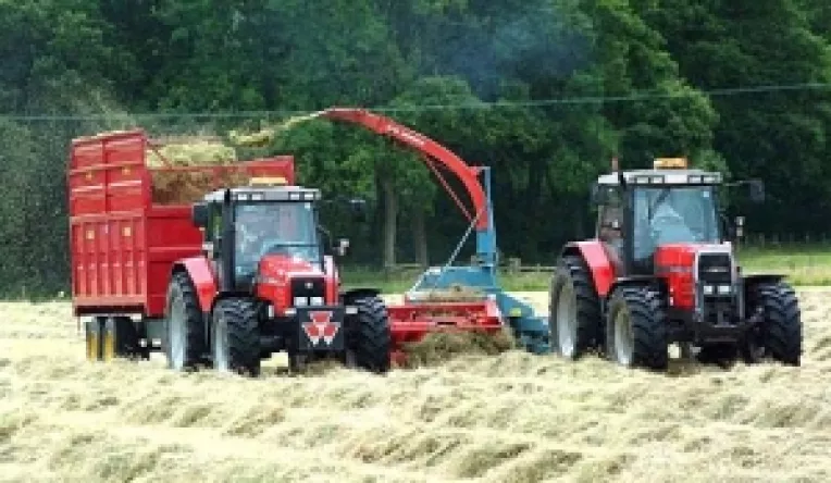 Romania, fara subventii pentru ingrasaminte