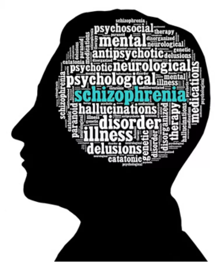 Semnele schizofreniei si tratamentele in tratarea acestei boli