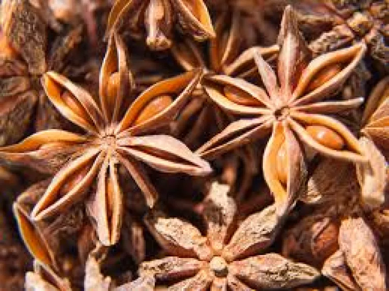 Zece remedii naturale si eficiente pentru prevenirea regurgitarii